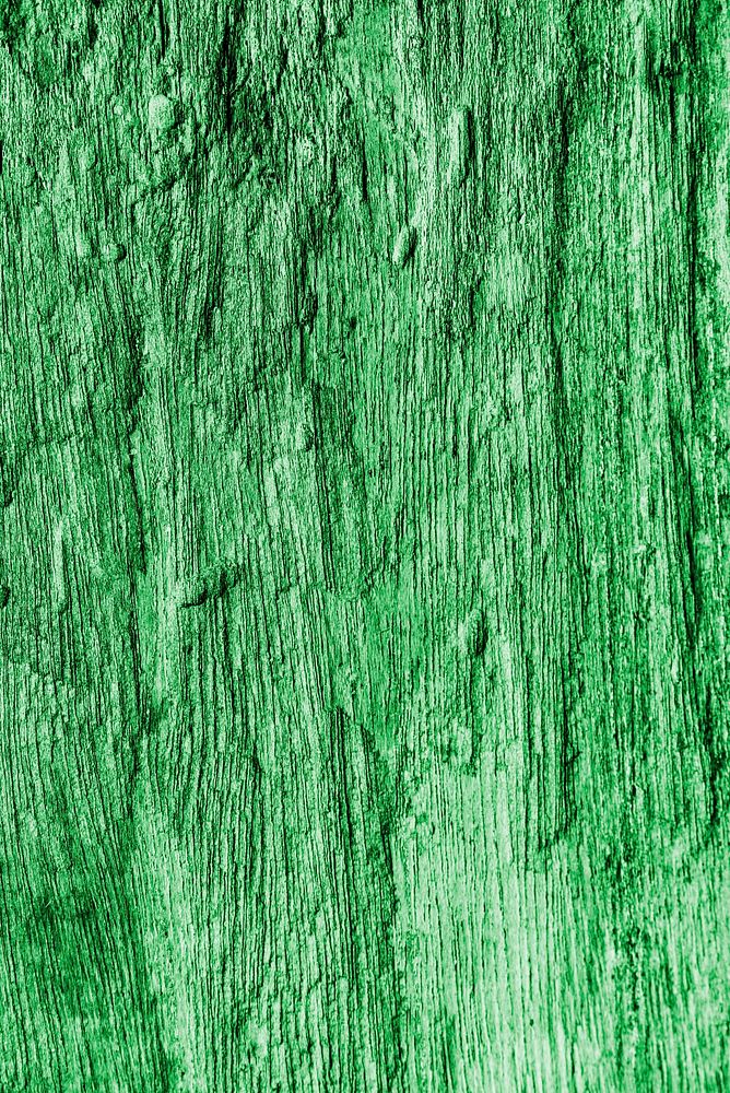 Rough green wooden wall texture