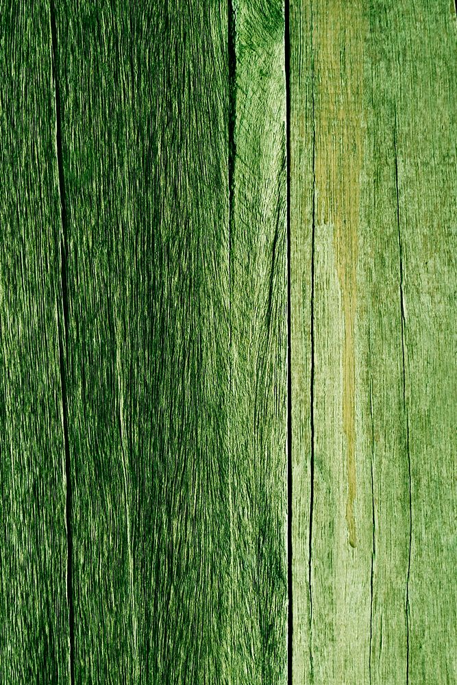 Moss green wooden textured background