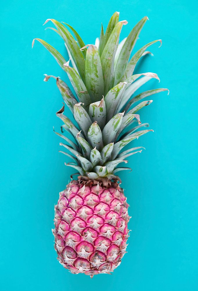 Aerial view of pineapple blue background