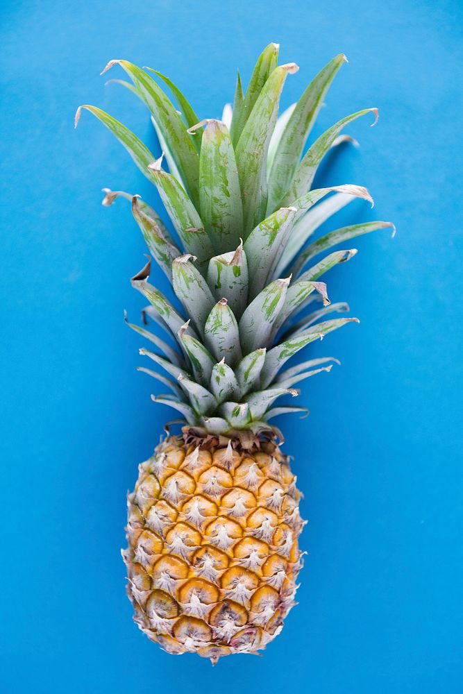 Aerial view of pineapple blue background