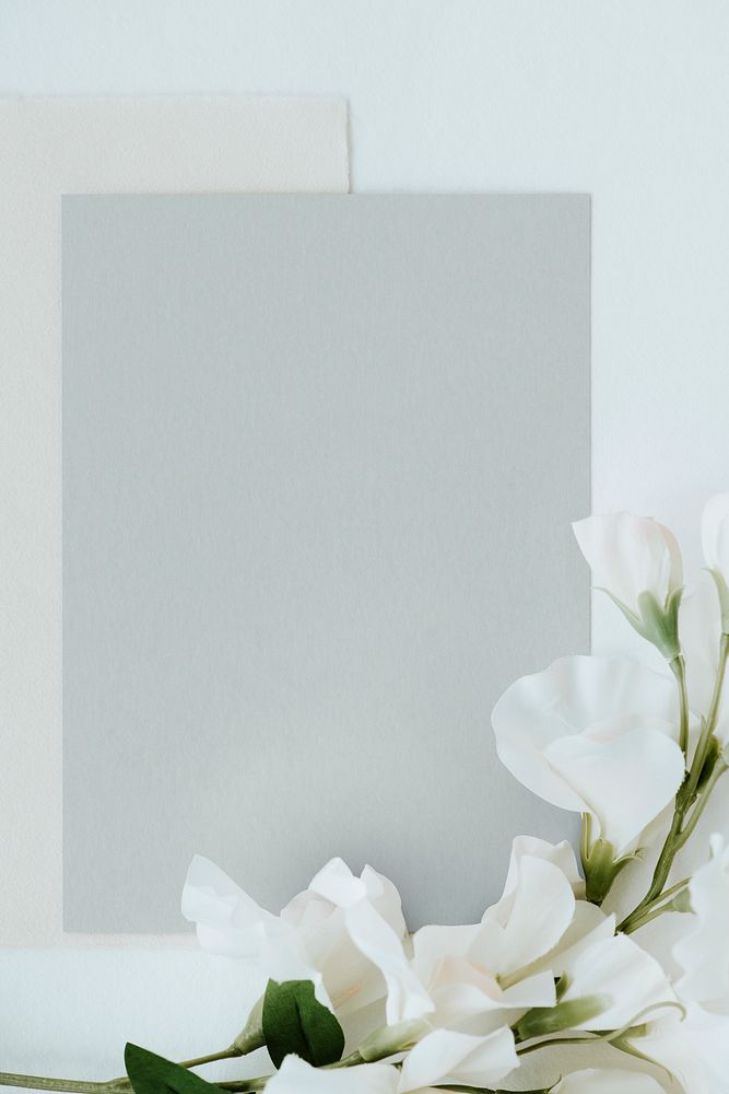 Blank gray card with sweet pea template