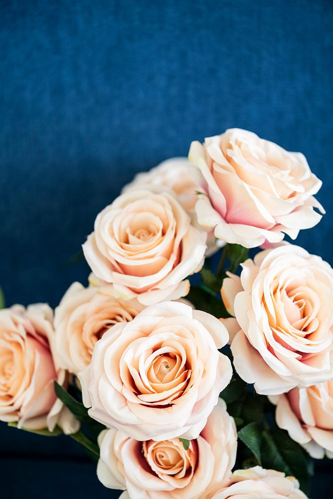 A bouquet of light orange roses background