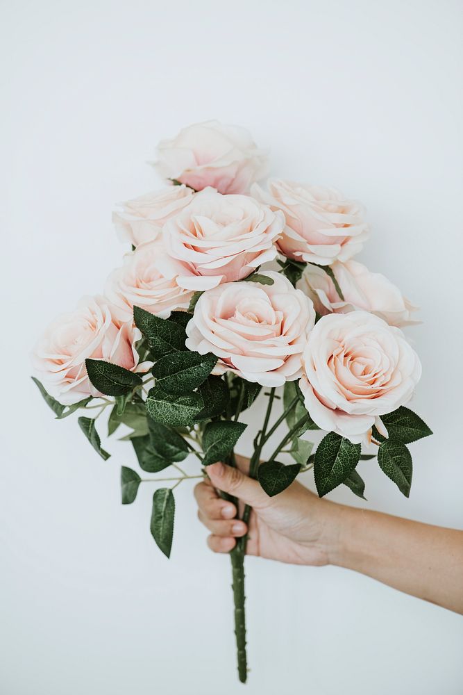 Hand holding a bouquet of light orange roses