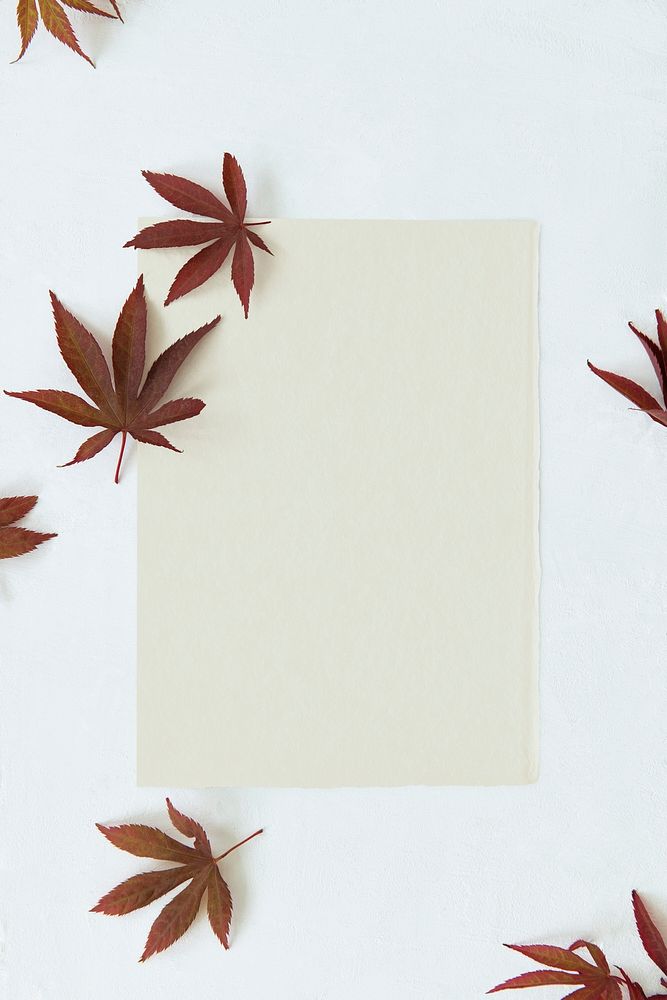Blank craft paper with dried leaves template