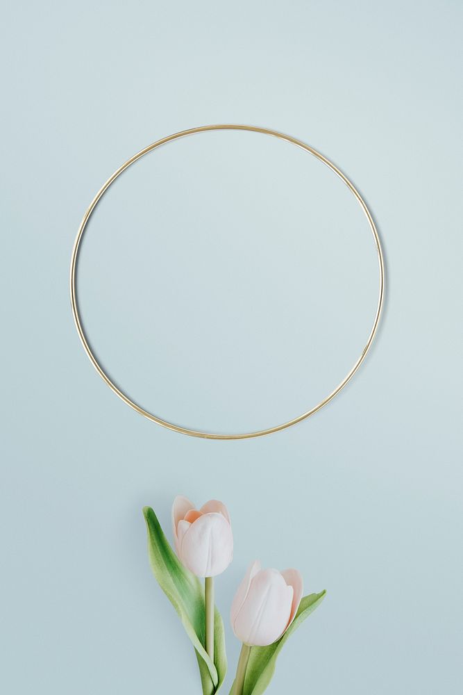 Light pink tulips with round gold frame on green background mockup
