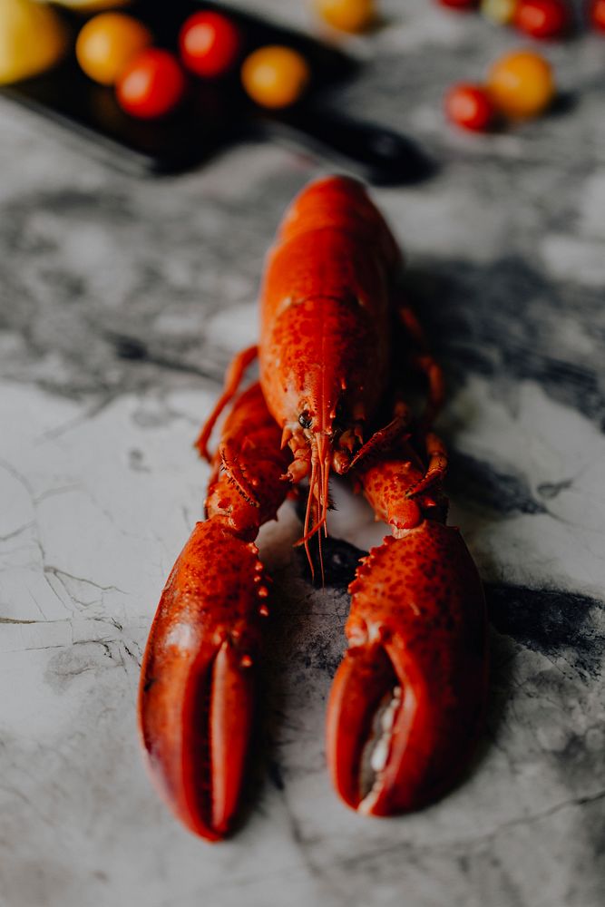 Steamed red lobster for dinner