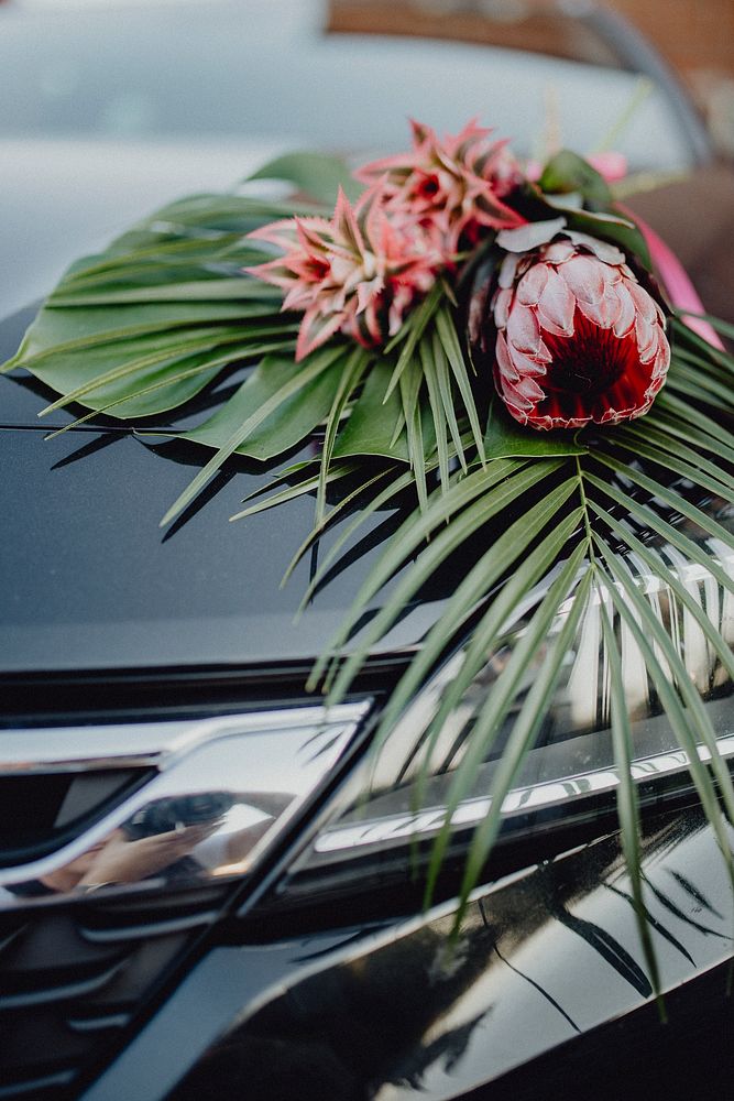 A bouquet of king protea and red pineapples on a car hood