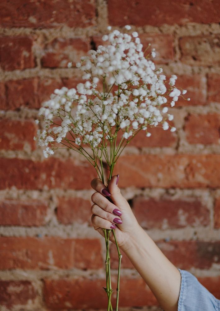 Woman holding a bunch of white gypsophila flowers