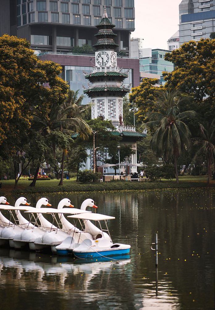 Swan paddle boats in Lumphini Park, Bangkok