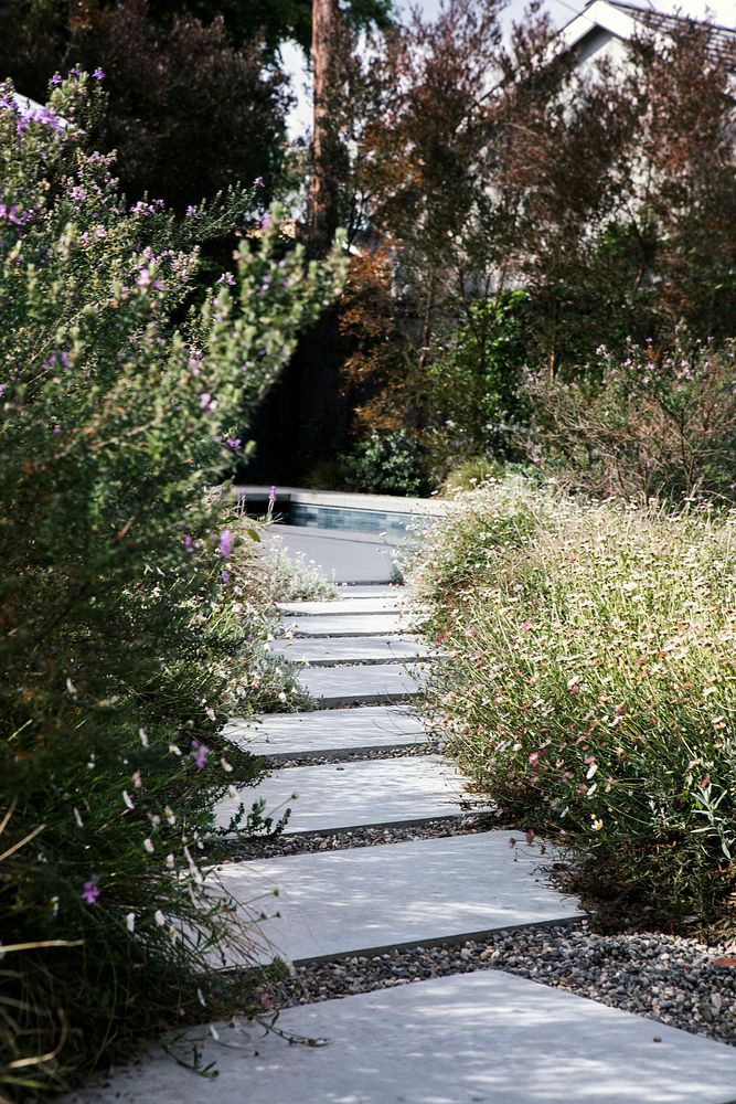 Pathway to the pool by the bushes