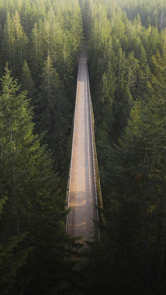 Nature mobile wallpaper, bridge in forest phone background