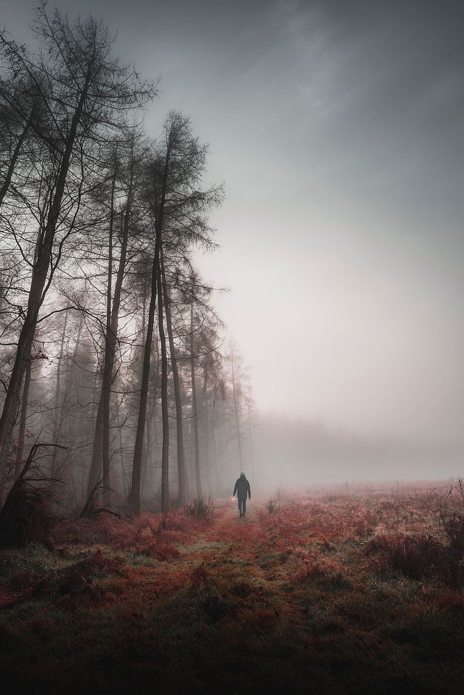 Man walking in a misty woods with a lamp