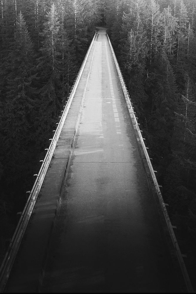Bridge over a river in a forest grayscale