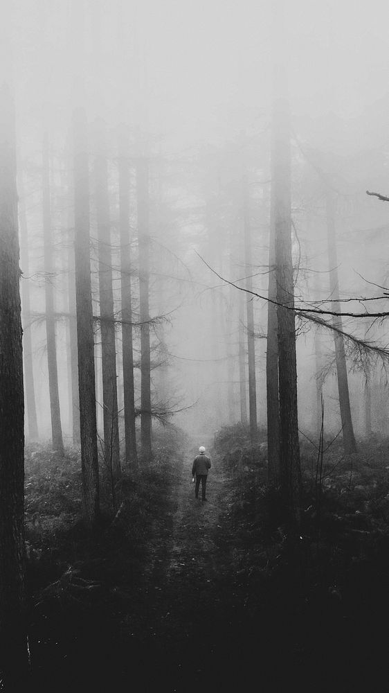 Black and white mobile wallpaper, forest phone background, lonely and mystery mood