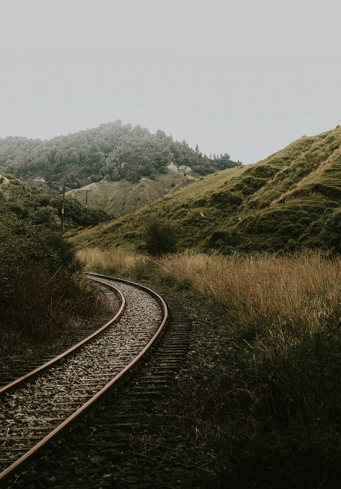 Train pass in a beautiful nature