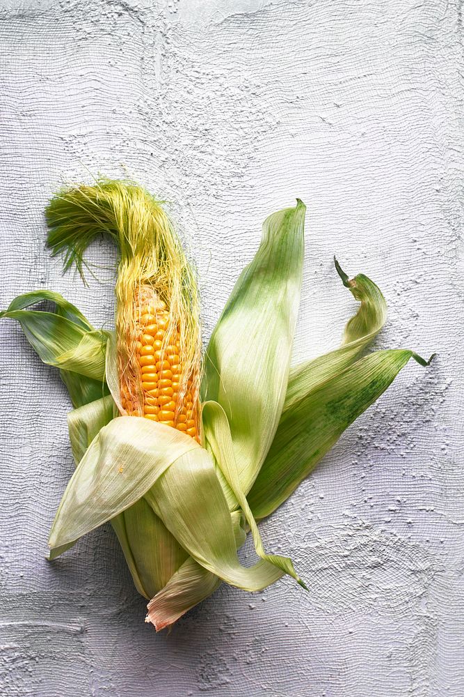 Corn on the cob on a rigid surface