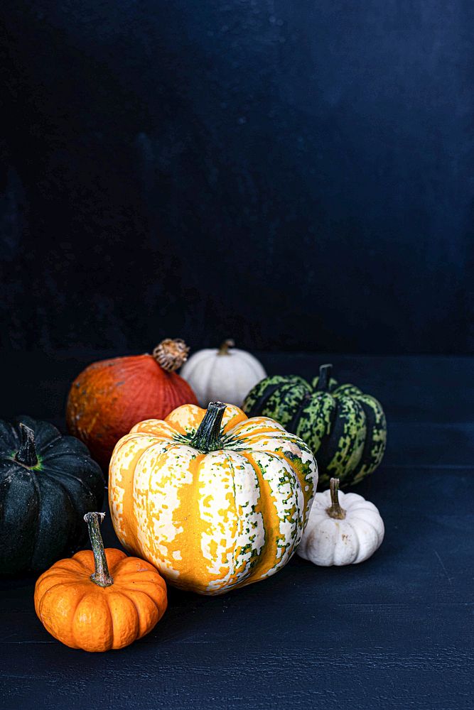 Fresh colorful pumpkins on a table