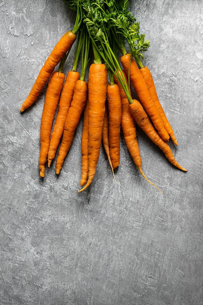 Fresh organic bunch of carrots on a gray kitchen top aerial view