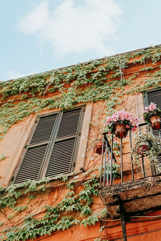 Flowers on a balcony in Florence, Italy