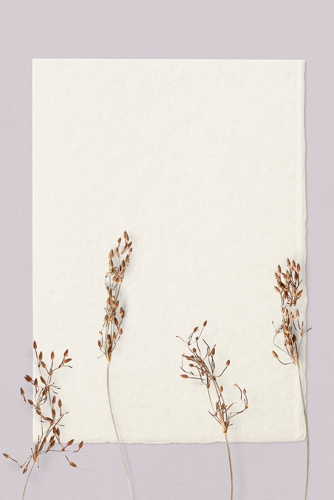 Blank white paper template with dried leaves
