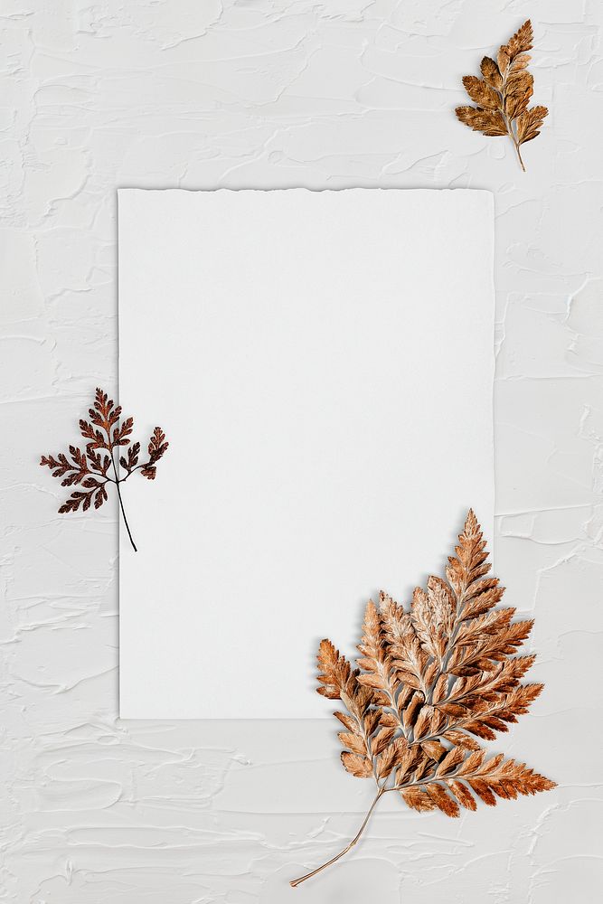 Blank white paper template with dry leaf