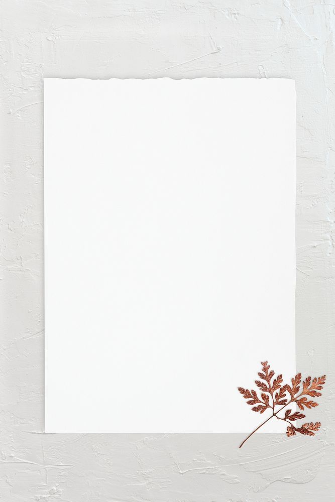 Blank white paper template with dry leaf