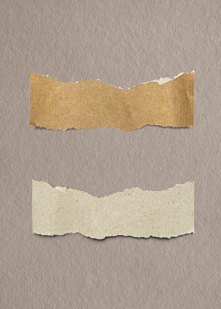 Blank torn craft paper template