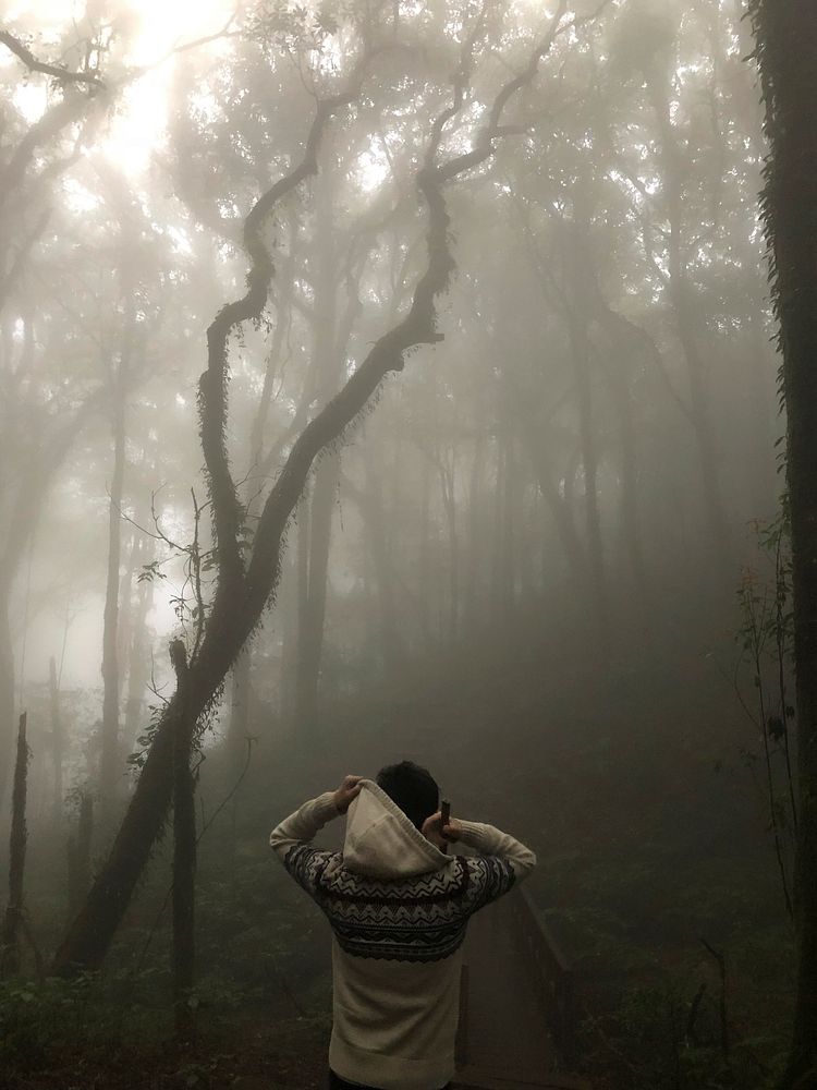 Man putting on his hoodie in a misty forest