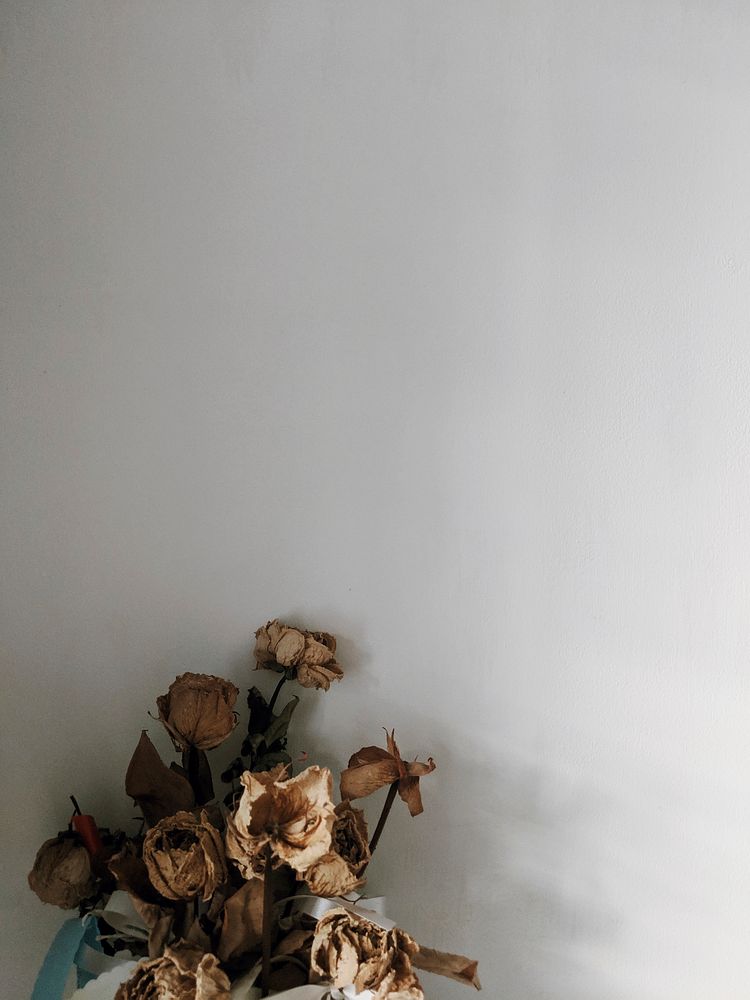 Dried roses by the wall