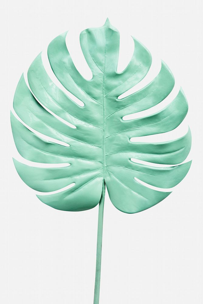 Monstera leaf painted in mint green on an off white background