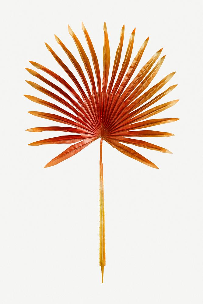Red dyed palm leaf mockup