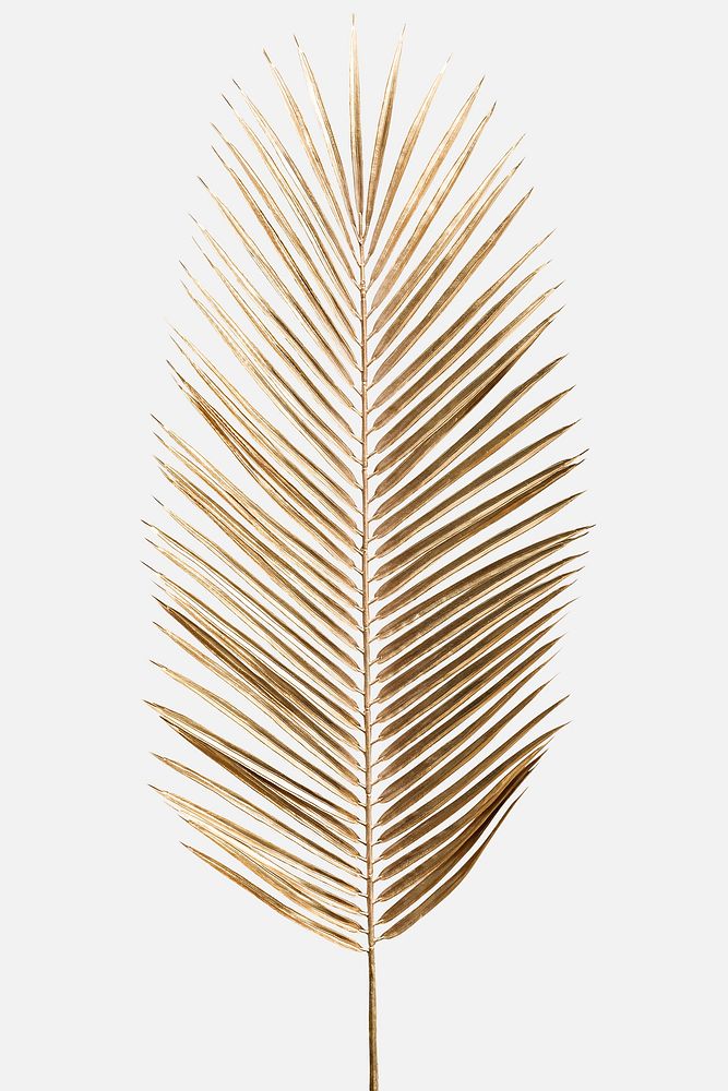 Areca palm leaf painted in gold mockup on an off white background