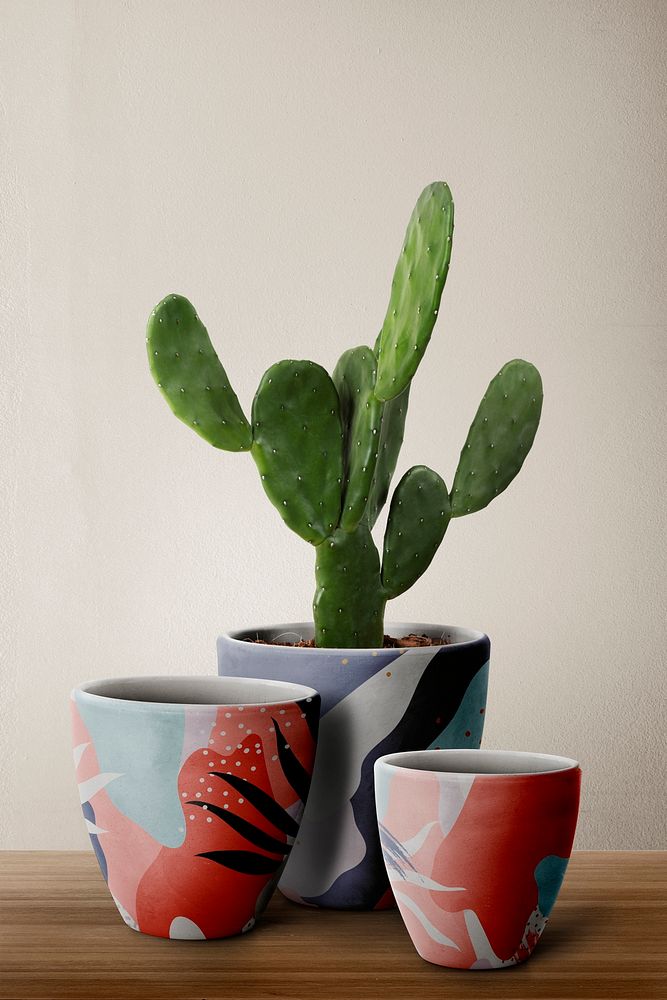 Patterned plant pots psd mockup with Cereus cactus
