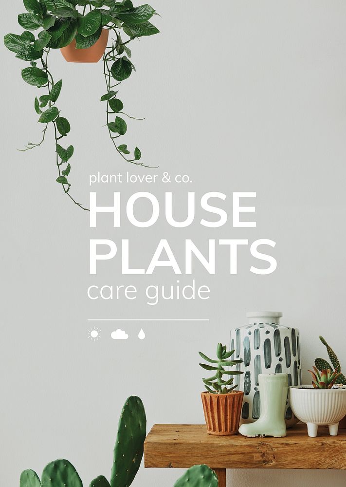 Houseplant care guide vector template for social media
