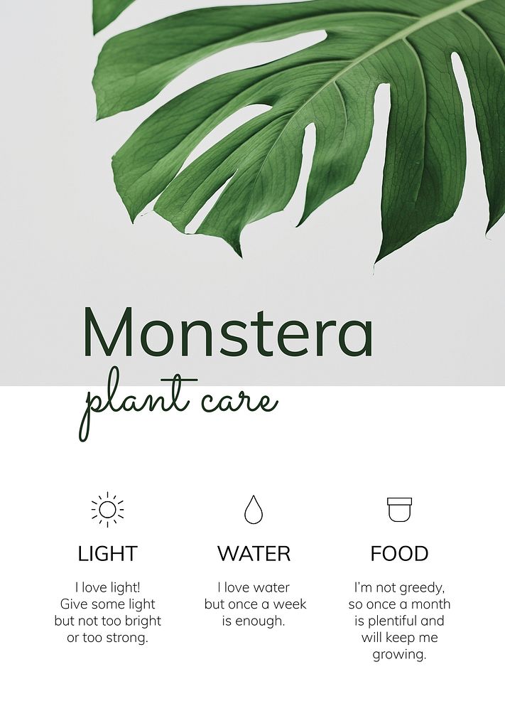 Houseplant template vector Monstera plant care