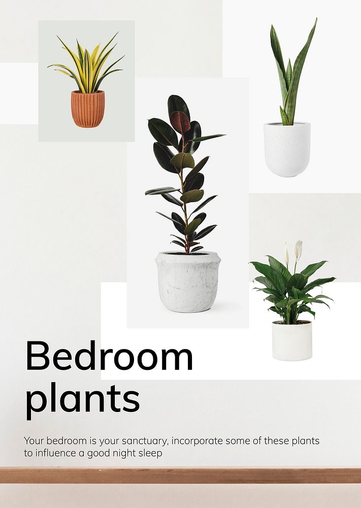 Interior decor template psd bedroom plants