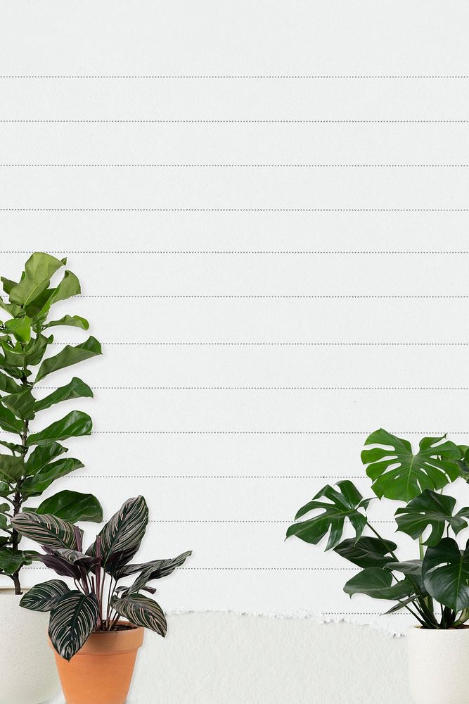 Plant notebook psd template with lines