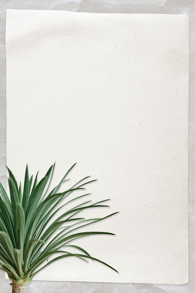 Paper note psd with agave palm tree