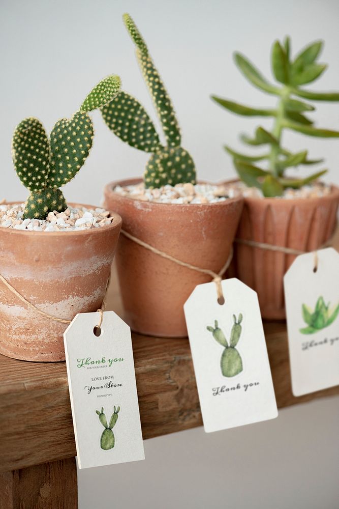 Paper tag mockup psd on cute cactus pots