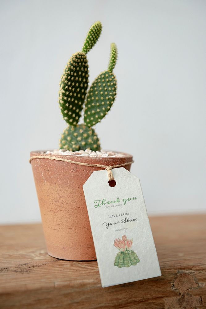 Paper tag psd mockup on cute cactus pot