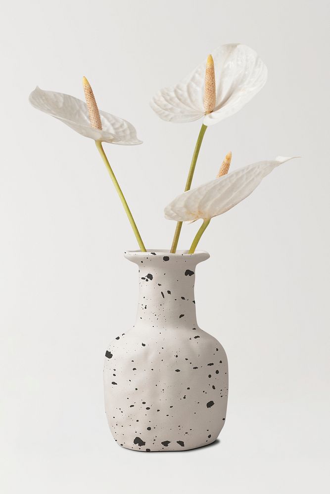 White laceleaf, flower vase element sticker, isolated object psd
