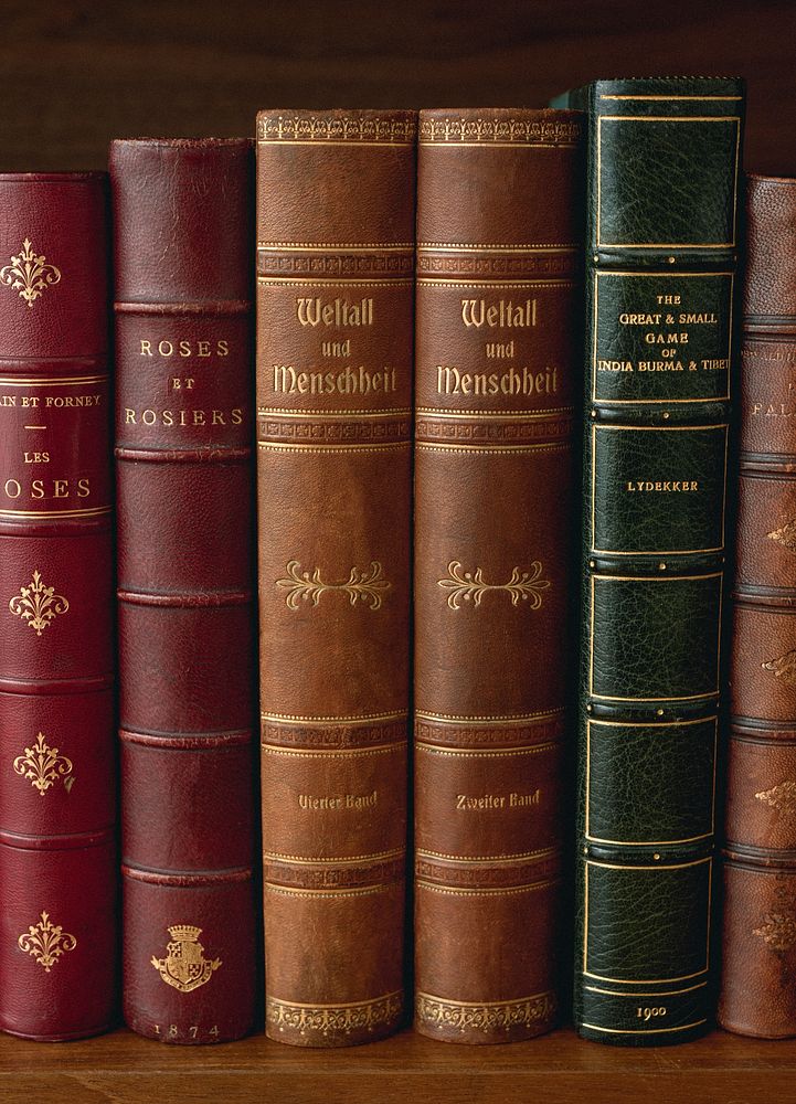 Antique book titles, from our own original public domain library collection.