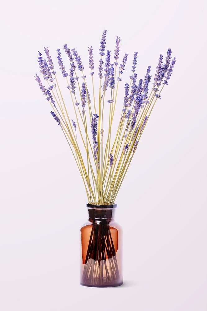 Lavender in glass vase, isolated object design psd