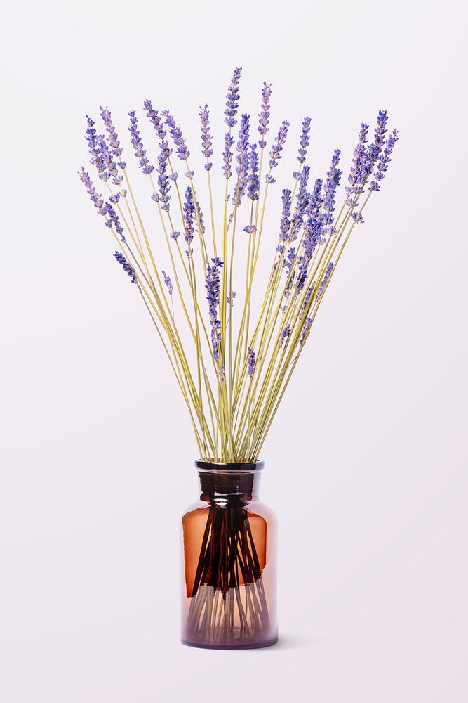 Lavenders in glass vase, flower arrangement, home decor