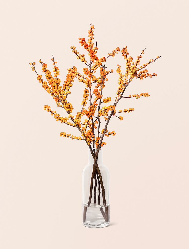 Yellow winterberry in glass vase, flower arrangement, home decor