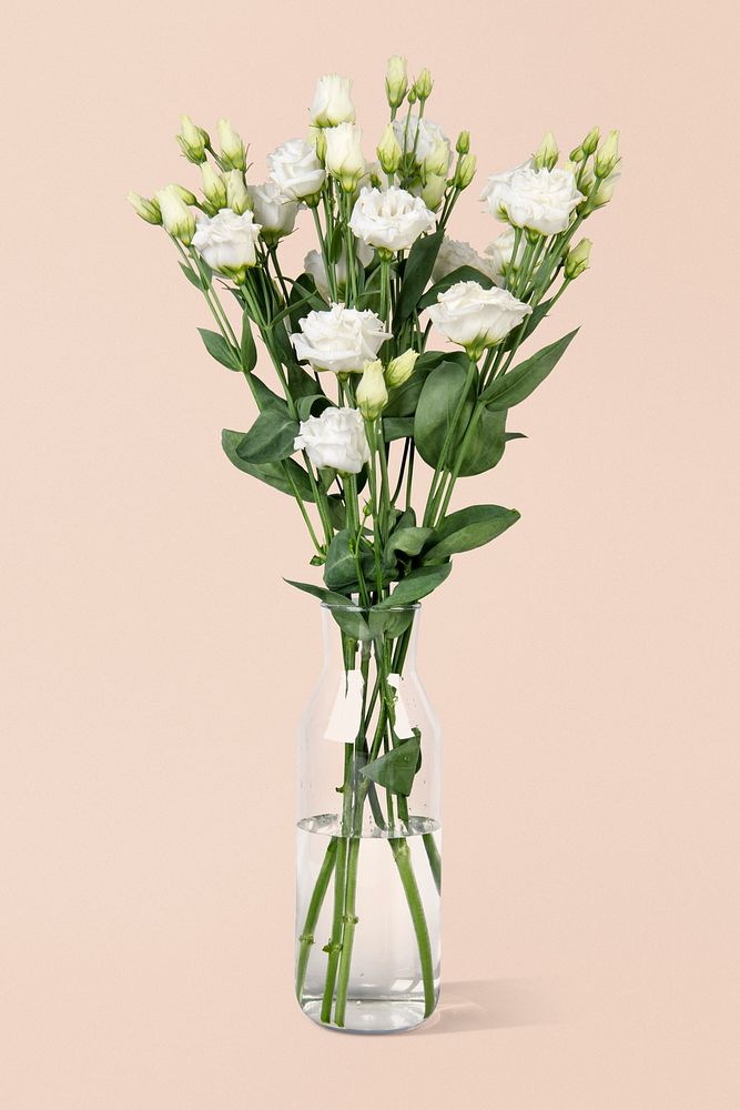 White lisianthus in glass vase, isolated object design psd