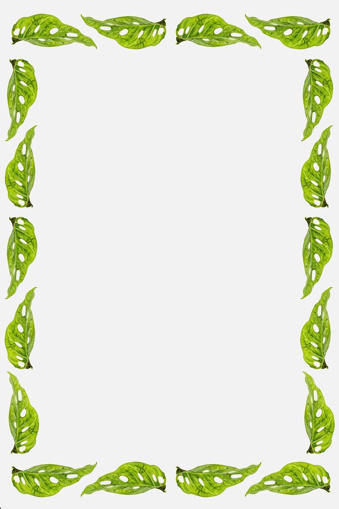 Green leaves rectangle frame on white background