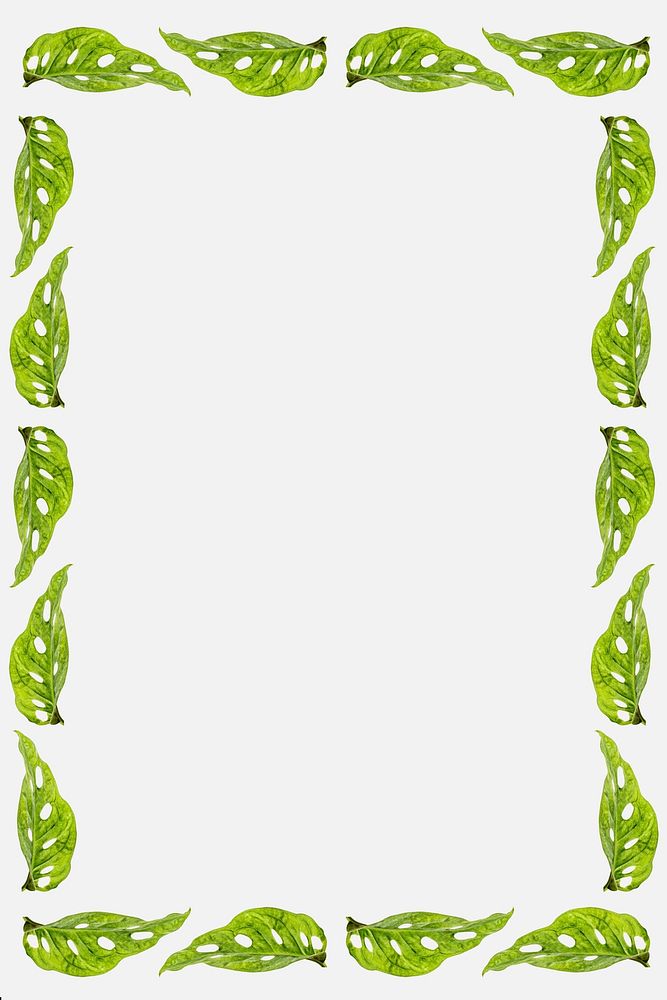 Green leaves rectangle frame on white background