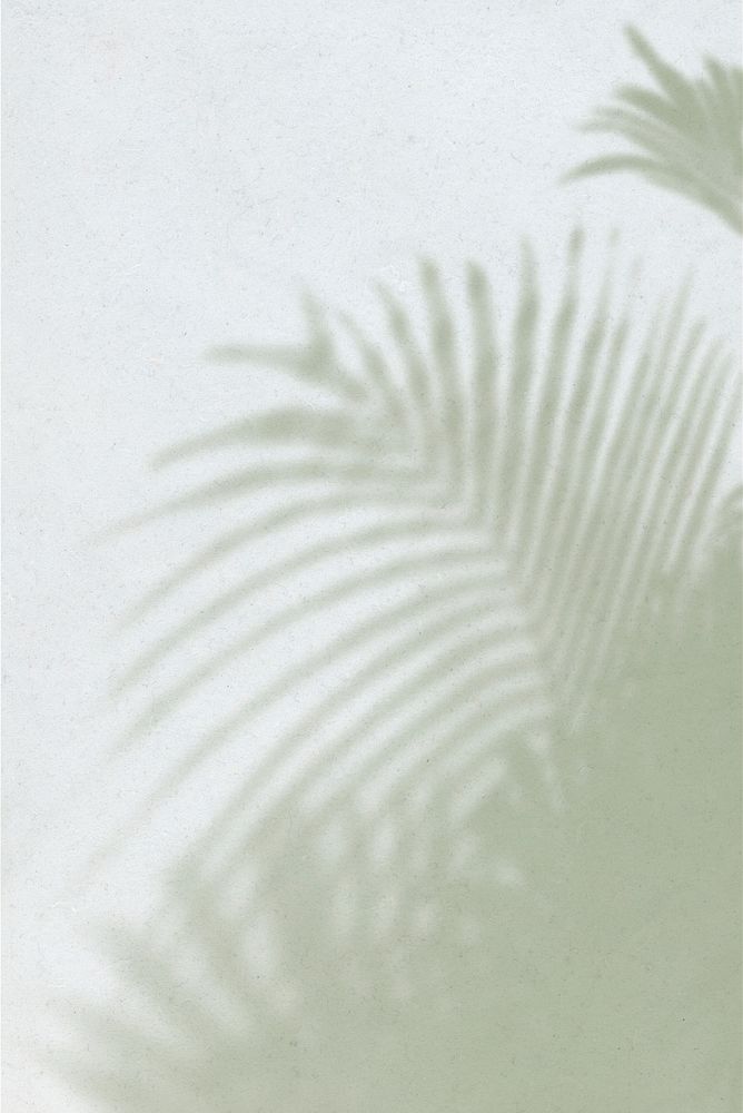 Green shadow of palm leaves on off white background