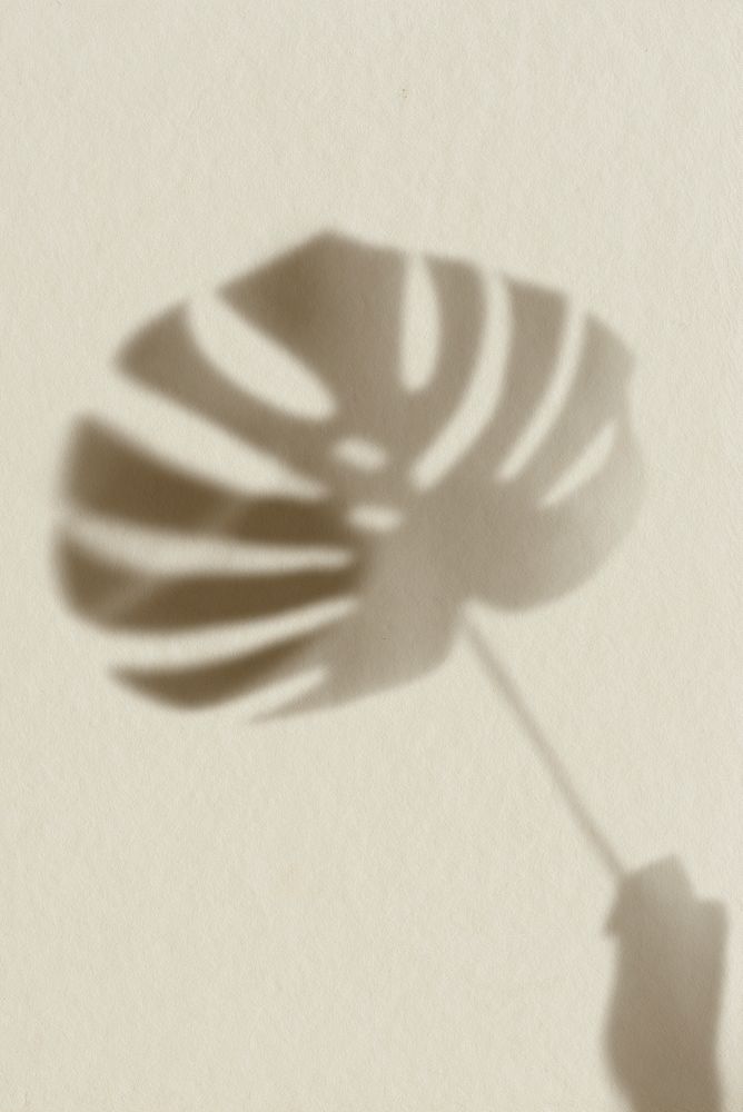 Shadow of Monstera leaf on brown background